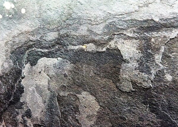 4749 Kamenná dyha Autumn Rustic 122x244x0,2 cm