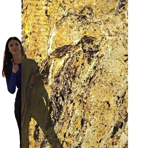 Kamenná dyha Burning Forest 244x122x0,2 cm Transparentný