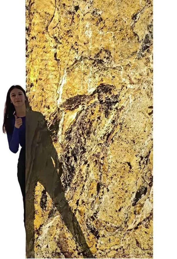 Kamenná dyha Burning Forest 244x122x0,2 cm Transparentný