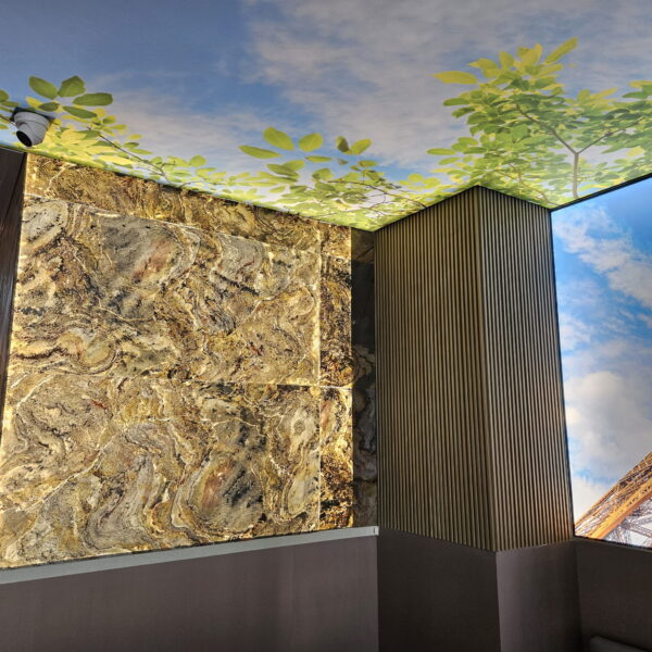 Vera lamely 300x11x1,8 cm